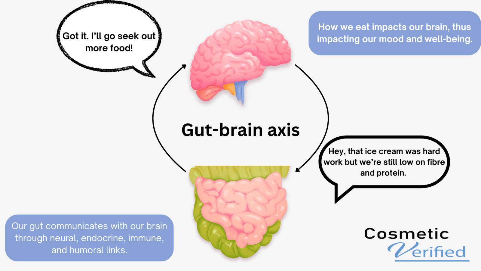 Gut-brain axis image illustration. Nutrition impact on how we feel